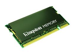 256MB Module