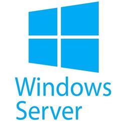 5-pack of Windows Server 2025 Remote Desktop Serv User Cus Kit