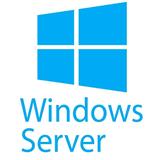 5-pack of Windows Server 2025 Remote Desktop Serv User Cus Kit