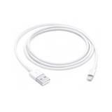 Apple Lightning to USB Cable (1m)