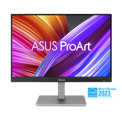 ASUS ProArt PA248CNV 24.1" IPS 1920x1200 5ms 300cd USB-C HDMI 2xDP RJ-45 repro čierny