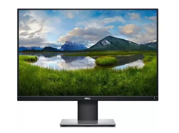 Dell 24 Professional Monitor - P2421 - 61.13cm (24") Black