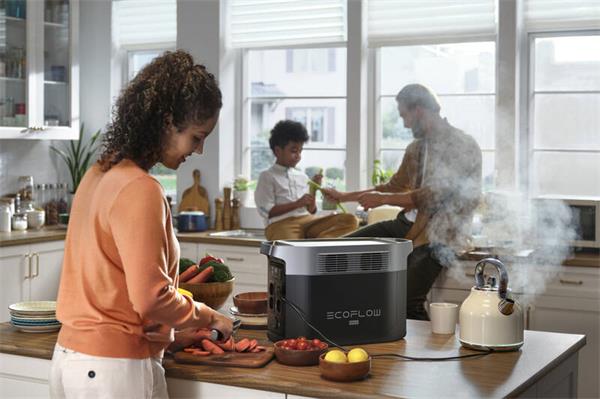 EcoFlow DELTA 2