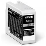 Epson atrament SC-P700 light gray - 25ml