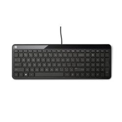 HP K3010 Keyboard SK