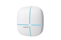 Netis WF2520 300Mbps Wireless N High Power (Active PoE)