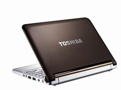 Toshiba NB 305-106 N450 (1,66G) 10,1" WSVGA LED UMA 1GB 250GB WL BT Cam W7StartSK hnedy