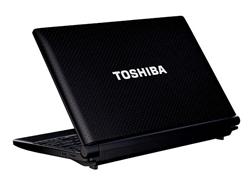 Toshiba NB 500-108 N455 (1,66G) 10,1" WSVGA LED UMA 1GB 250GB WL Cam W7Starter 32bit cierny